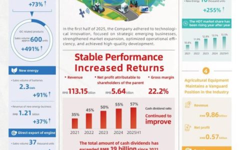 2025 Semi-Annual Results of Weichai Power