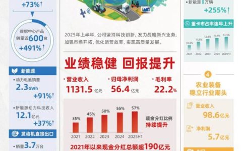潍柴动力2025半年度业绩