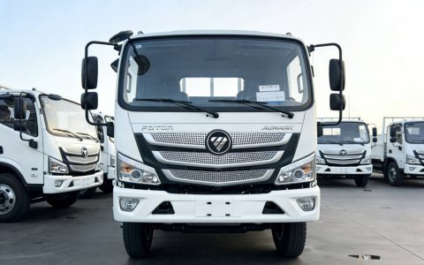 福田汽车向西非市场交付大批量轻卡 以成熟产品力支持区域发展