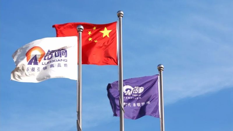 深化交流，共启新篇｜斯堪尼亚团队莅临锣响集团参观交流